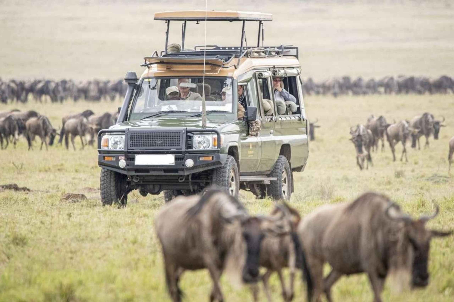 Nairóbi: Excursão de 4 dias a Masai Mara, Lago Naivasha e Hell's Gate