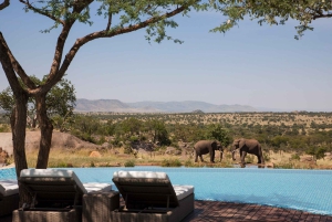 Nairobi: 9-Day Safari and Beach Holiday with Accommodation