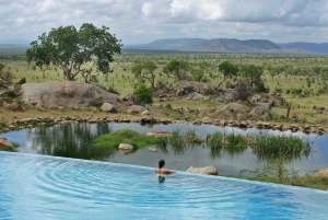 Nairobi: 9-Day Safari and Beach Holiday with Accommodation