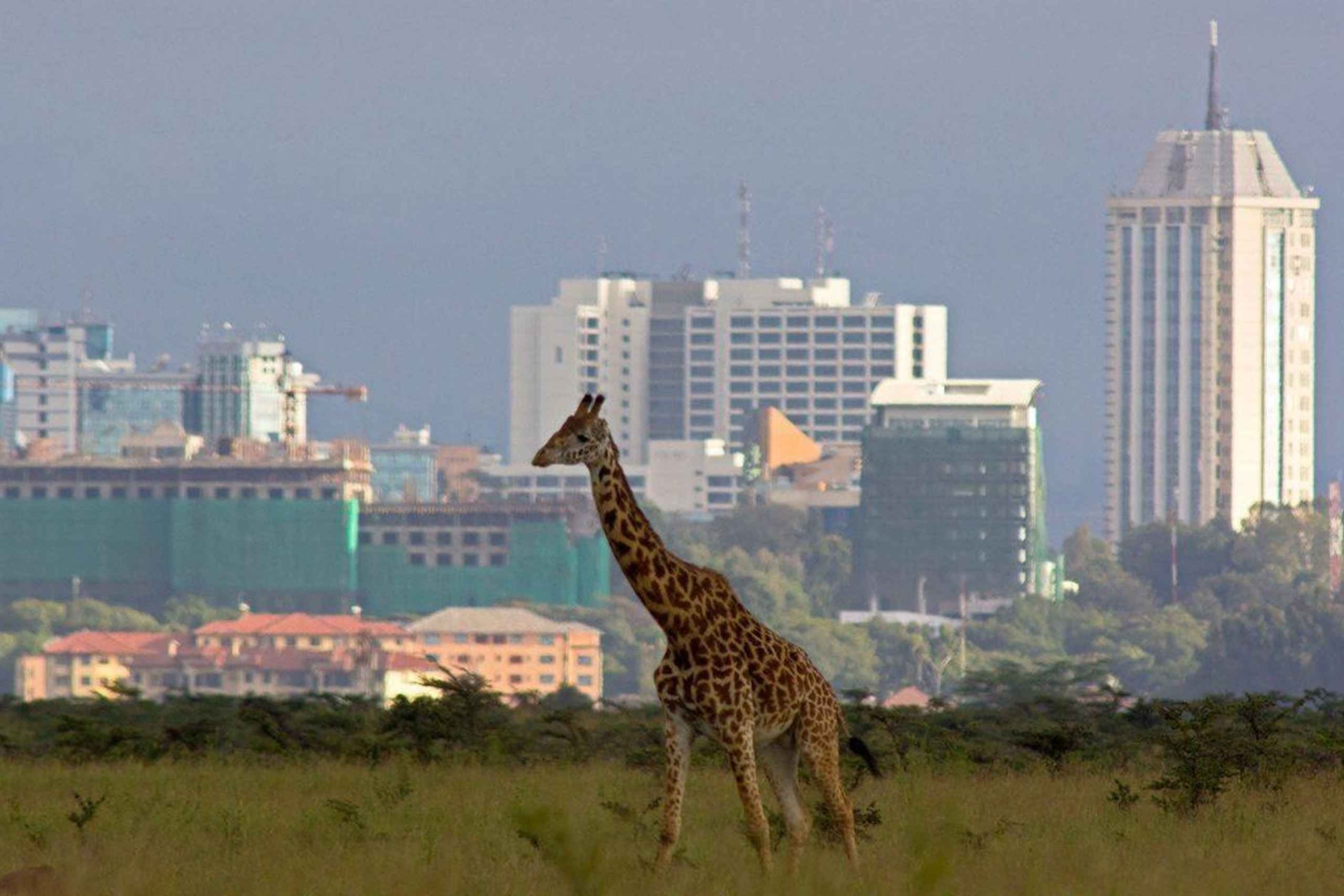 Transfer vom Flughafen Nairobi in die Stadt