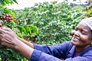 Экскурсия на кофейную ферму в Найроби на полдня (все включено)