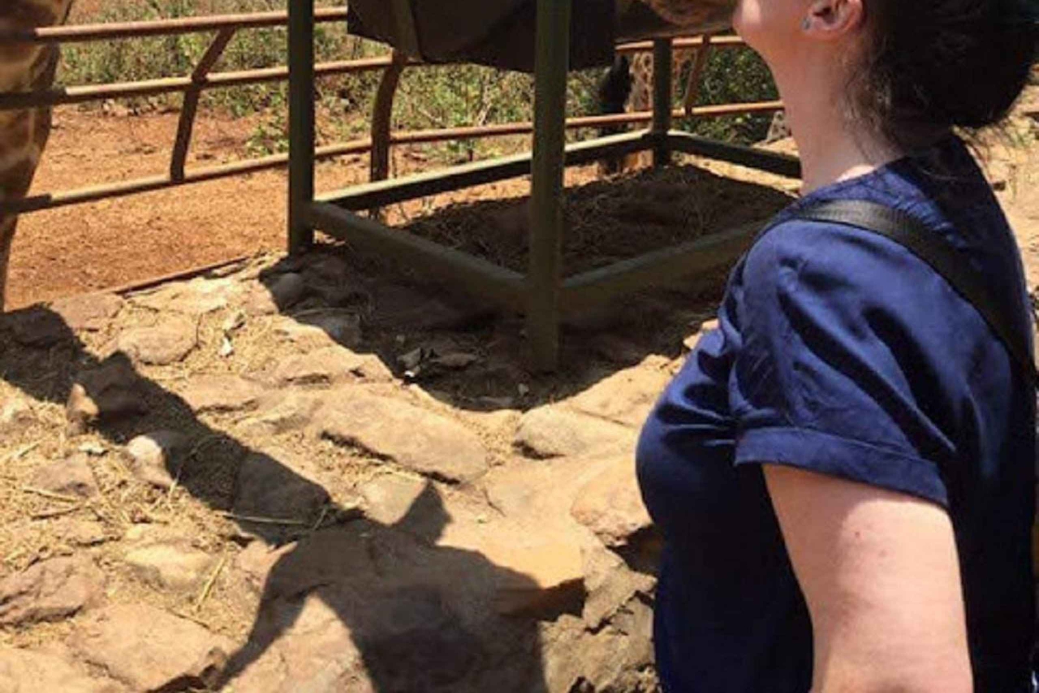 Nairobi: Elephant Orphanage, Beads Factory , giraffe center