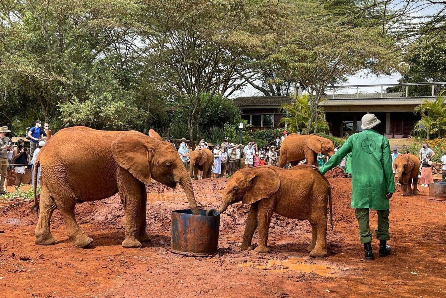 Parque Nacional de Amboseli: passeio de dia inteiro saindo de Nairóbi