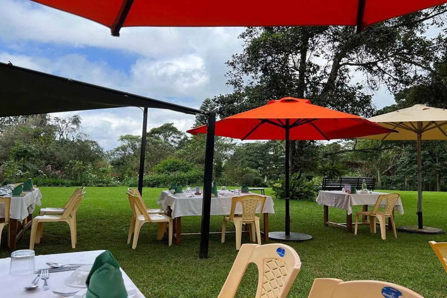 Nairobi: Wycieczka po plantacji kawy Fairview z odbiorem