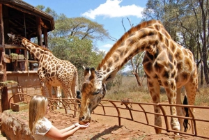 Nairobi Geführte Tour zum Giraffe Center und zur Kobe Perlenfabrik
