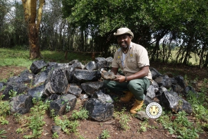 Nairobi: passeio de um dia pré-histórico por Kariandusi e Hyrax Hill
