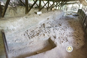 Nairobi: passeio de um dia pré-histórico por Kariandusi e Hyrax Hill