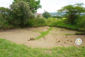 Nairobi: passeio de um dia pré-histórico por Kariandusi e Hyrax Hill