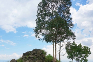 Nairobi: passeio de um dia pré-histórico por Kariandusi e Hyrax Hill