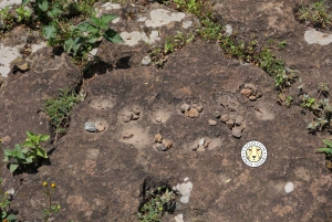 Nairobi: passeio de um dia pré-histórico por Kariandusi e Hyrax Hill