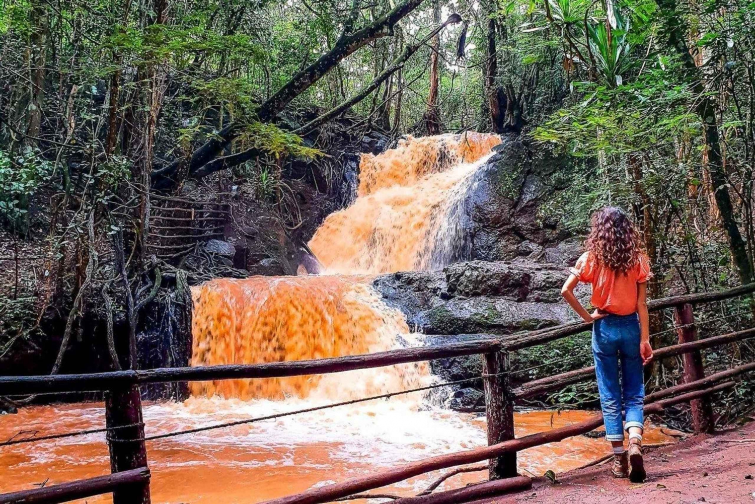 Nairobi: Van Nairobi naar Karura Forest Wandeltour met gids