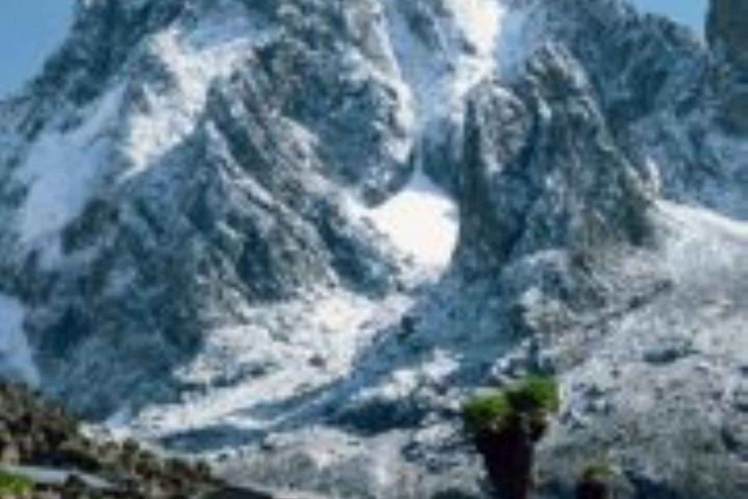 Nairobi: Jednodniowa wycieczka na Mount Kenya z lunchem