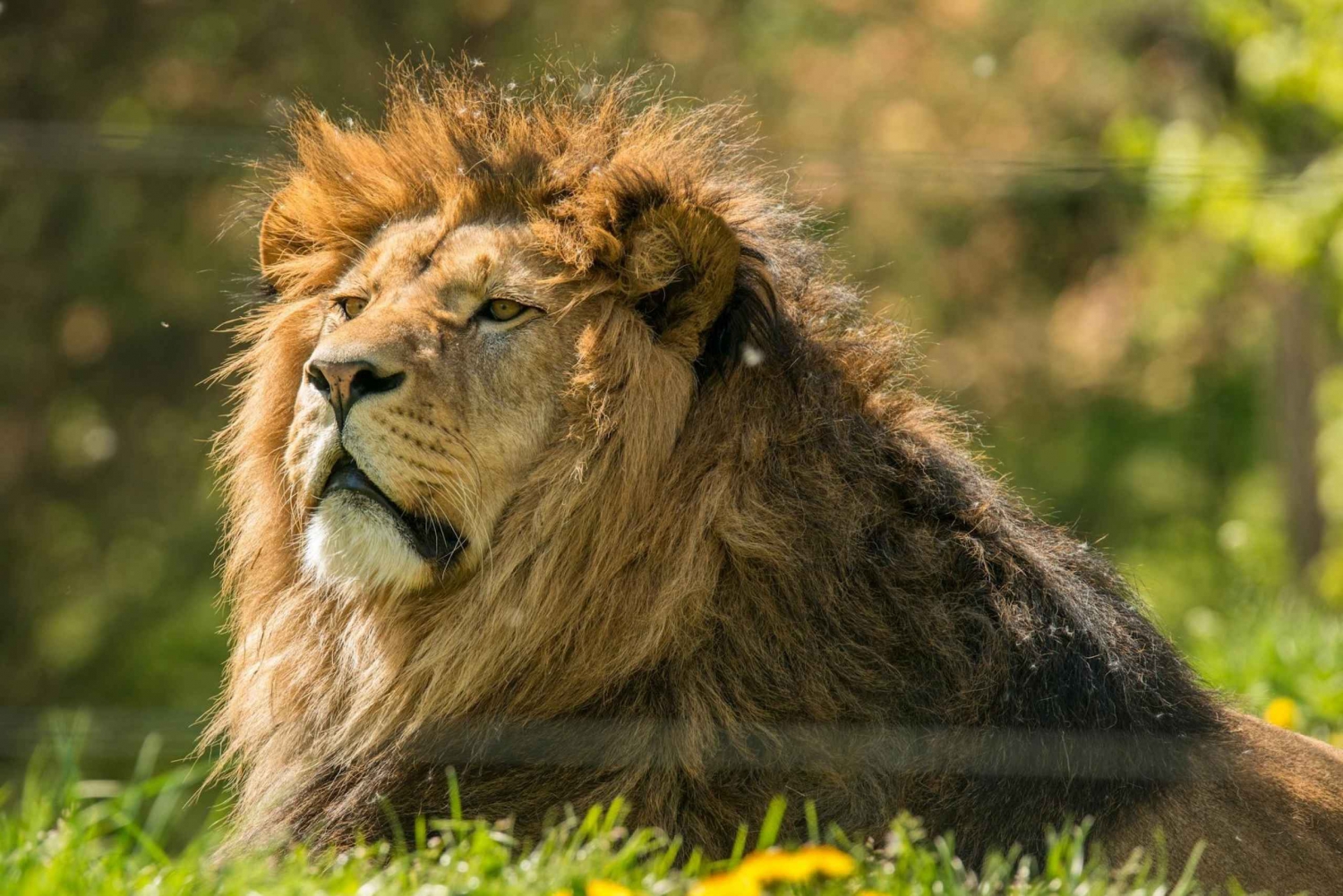 Nairobi: Kansallispuisto, norsujen orpokoti ja kirahvikeskus