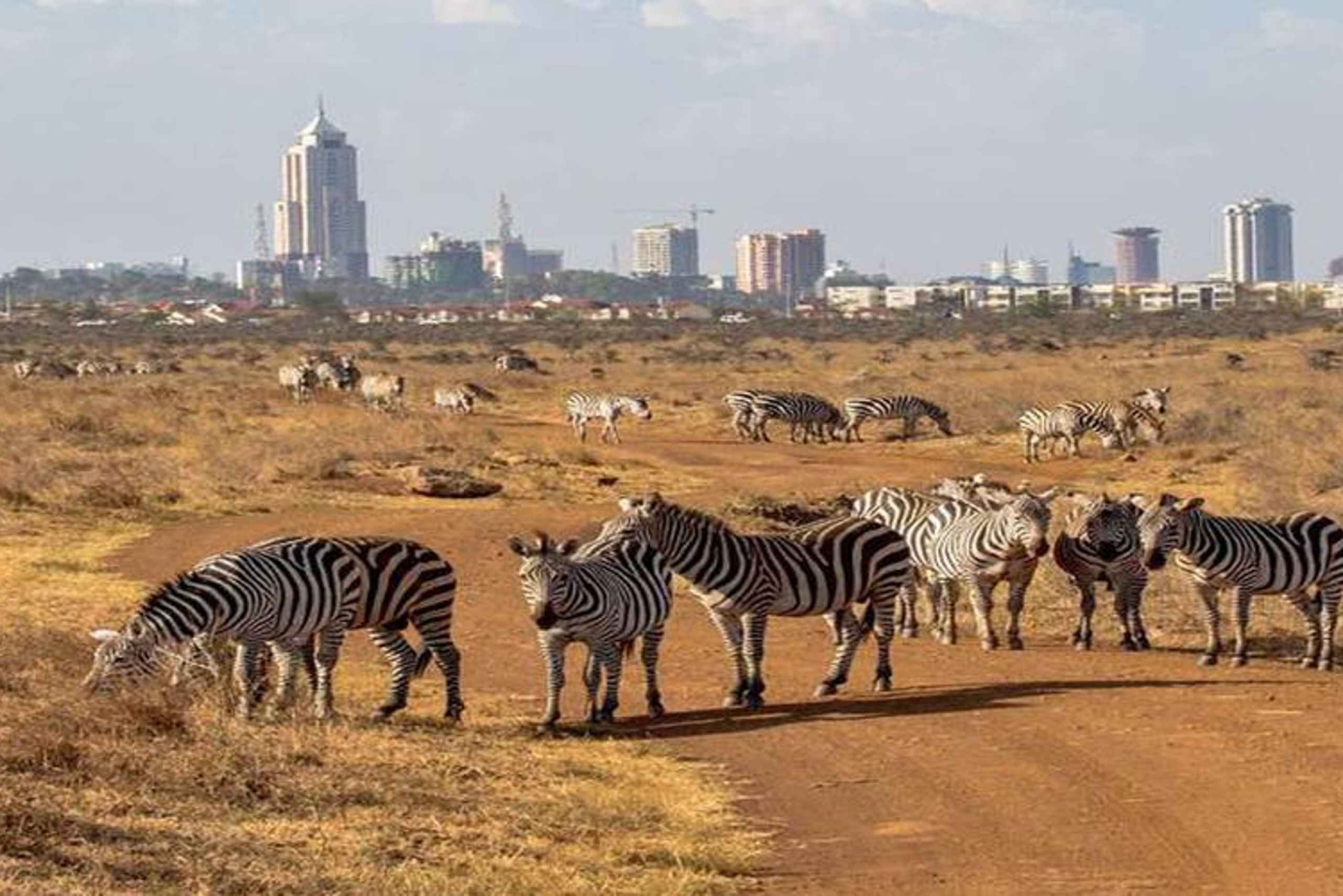 Nairobi : Parc national, orphelinat des éléphants et centre des girafes