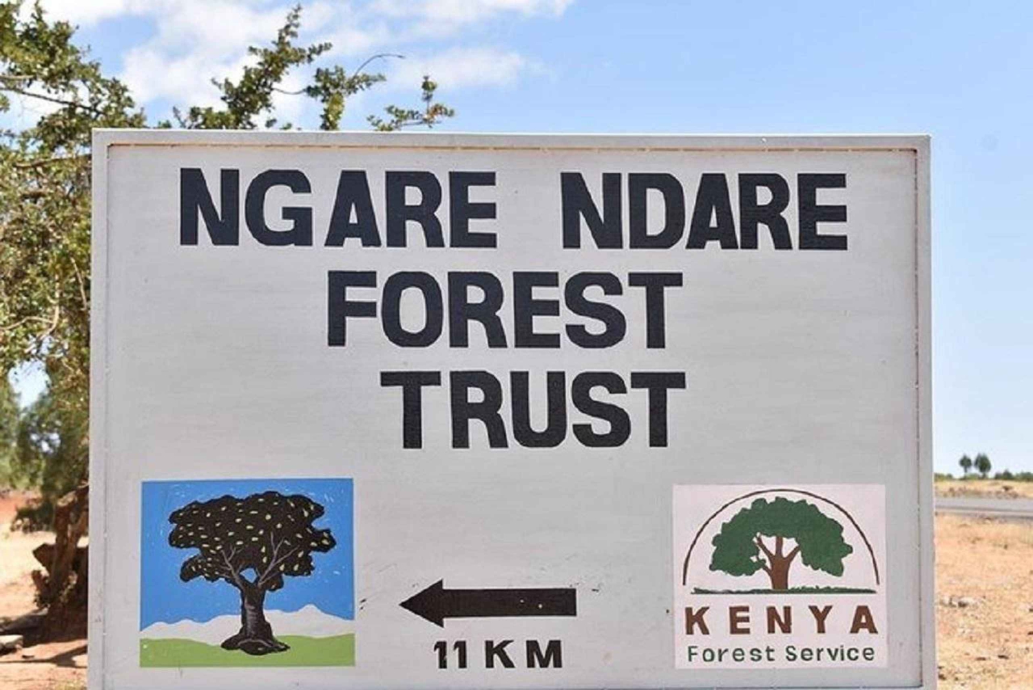 Nairobi: Ngare Ndare Forest Hike og Canopy Walk
