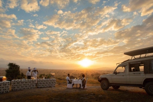 Nairobi or Mombasa: 2-Day Salt Lick Safari Lodge Tour