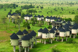 Nairobi or Mombasa: 2-Day Salt Lick Safari Lodge Tour