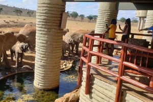 Nairobi or Mombasa: 2-Day Salt Lick Safari Lodge Tour