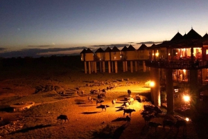 Nairobi or Mombasa: 2-Day Salt Lick Safari Lodge Tour