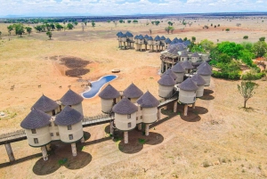 Nairobi or Mombasa: 2-Day Salt Lick Safari Lodge Tour