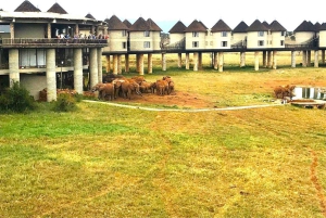 Nairobi or Mombasa: 2-Day Salt Lick Safari Lodge Tour