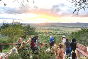 Nairobi or Mombasa: 2-Day Salt Lick Safari Lodge Tour