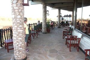 Nairobi or Mombasa: 2-Day Salt Lick Safari Lodge Tour