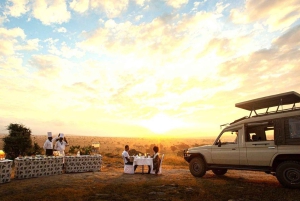 Nairobi or Mombasa: 2-Day Salt Lick Safari Lodge Tour