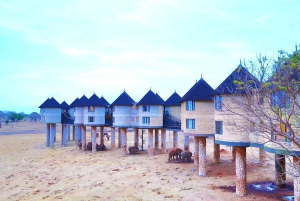 Nairobi or Mombasa: 2-Day Salt Lick Safari Lodge Tour