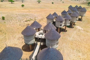 Nairobi or Mombasa: 2-Day Salt Lick Safari Lodge Tour