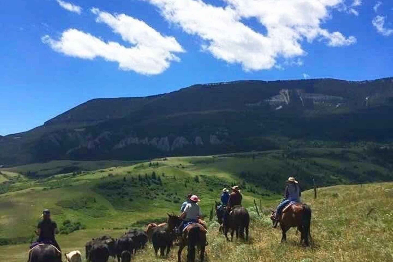 Nairobi: Paradise Lost – dagsudflugt