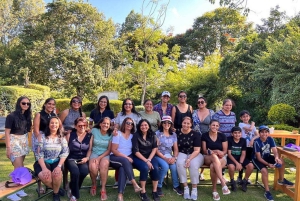 Nairobi : visite d'une plantation de thé pourpre et dégustation