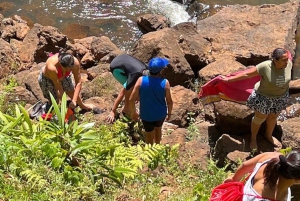 Nairobi : visite d'une plantation de thé pourpre et dégustation