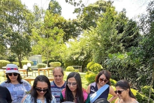 Nairobi : visite d'une plantation de thé pourpre et dégustation