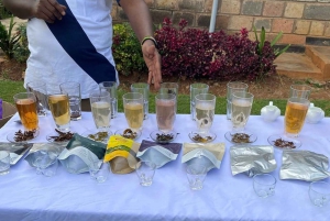 Nairobi : visite d'une plantation de thé pourpre et dégustation