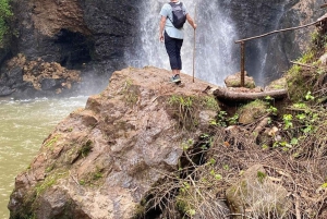 Nairobi : visite d'une plantation de thé pourpre et dégustation