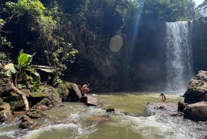Nairobi : visite d'une plantation de thé pourpre et dégustation