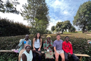 Nairobi : visite d'une plantation de thé pourpre et dégustation