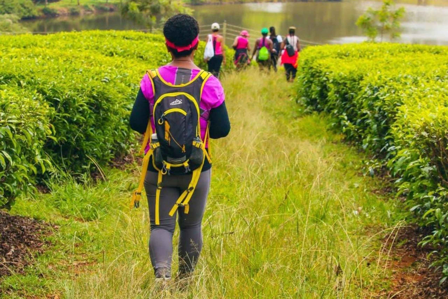 Nairobi : excursion d'une journée à la plantation de thé Gatura Greens Purple