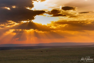 * Nairobi: Transfer zur Maasai Mara - Sekenani Gate. AW