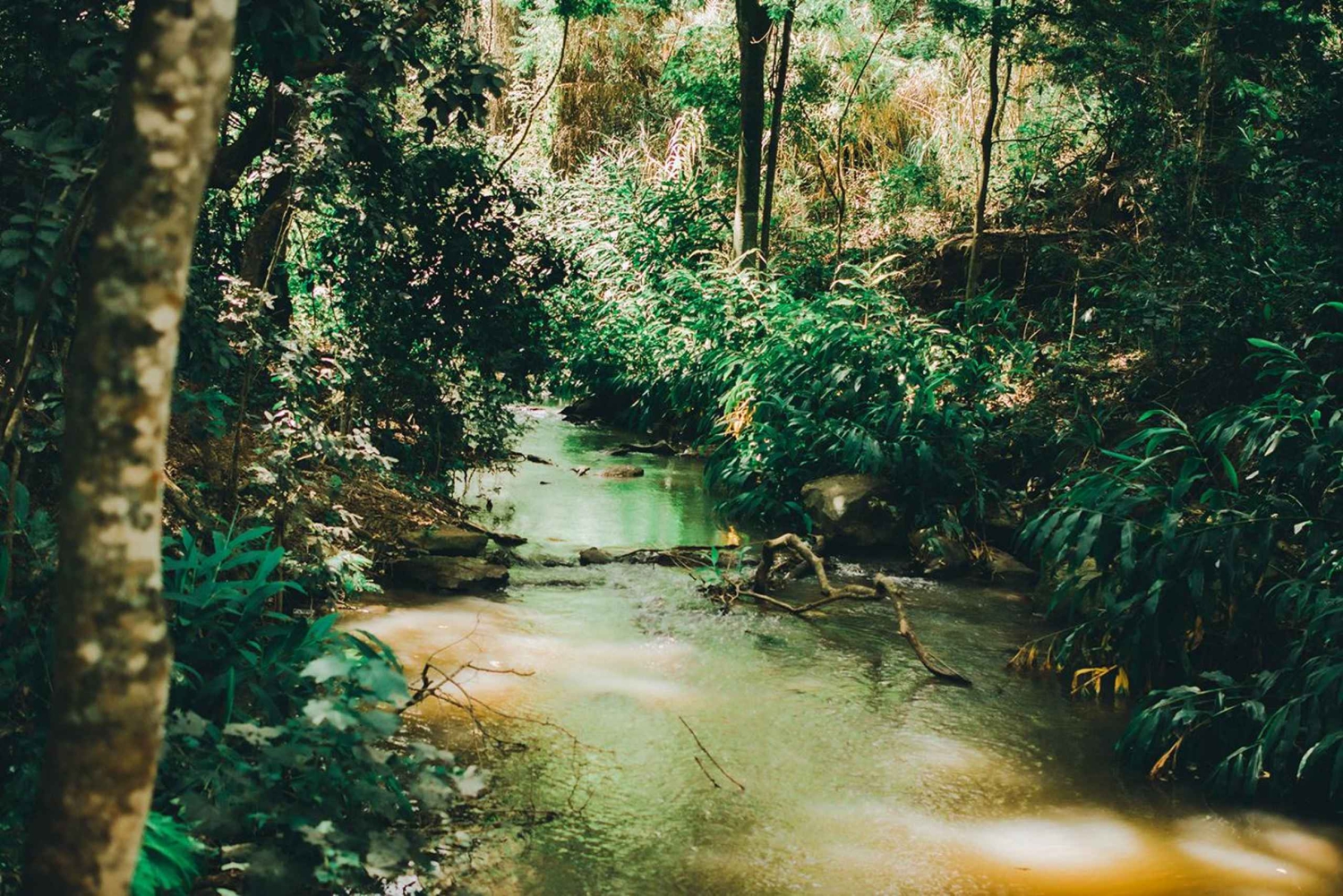 Nairobi: Stadtsafari mit Mittagessen und Sundowner auf dem Dach