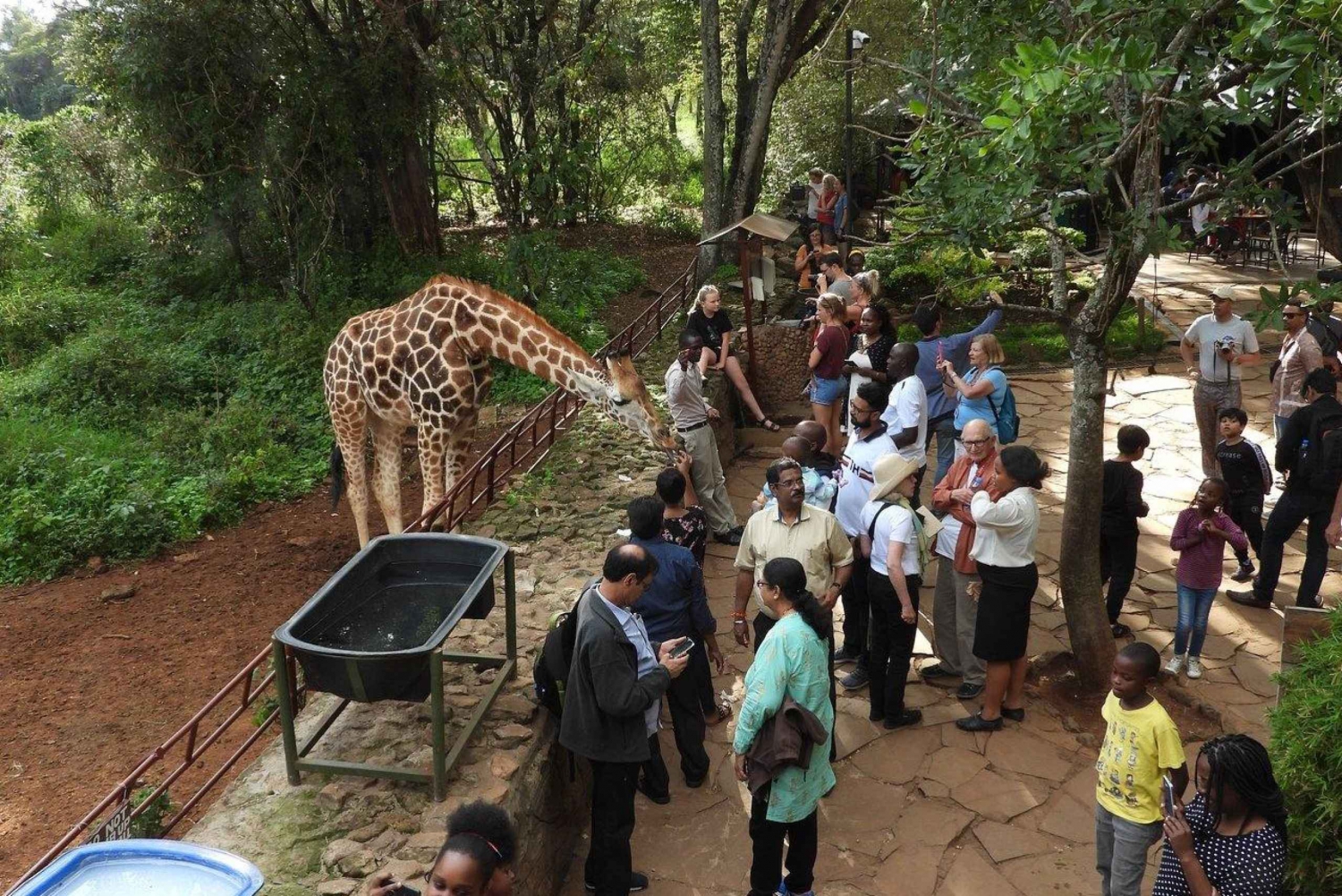 All-inclusive: Giraffe Centre & Kazuri Beads Factory Besuch