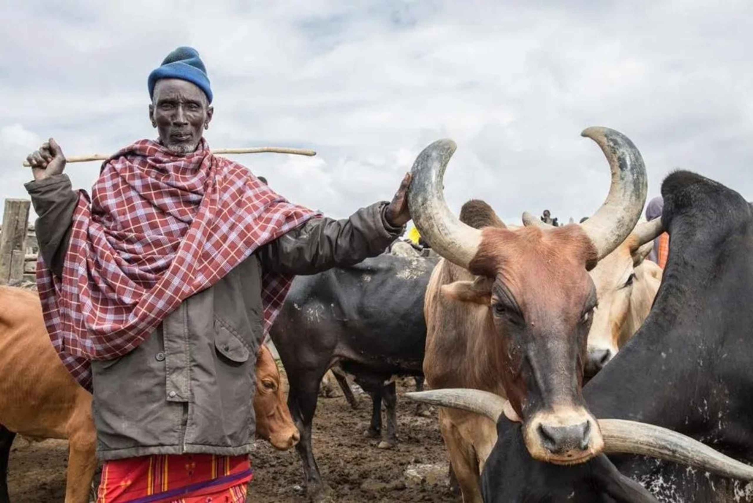 Nyahururu: Besøk på Rumuruti husdyrmarked med lokal guide