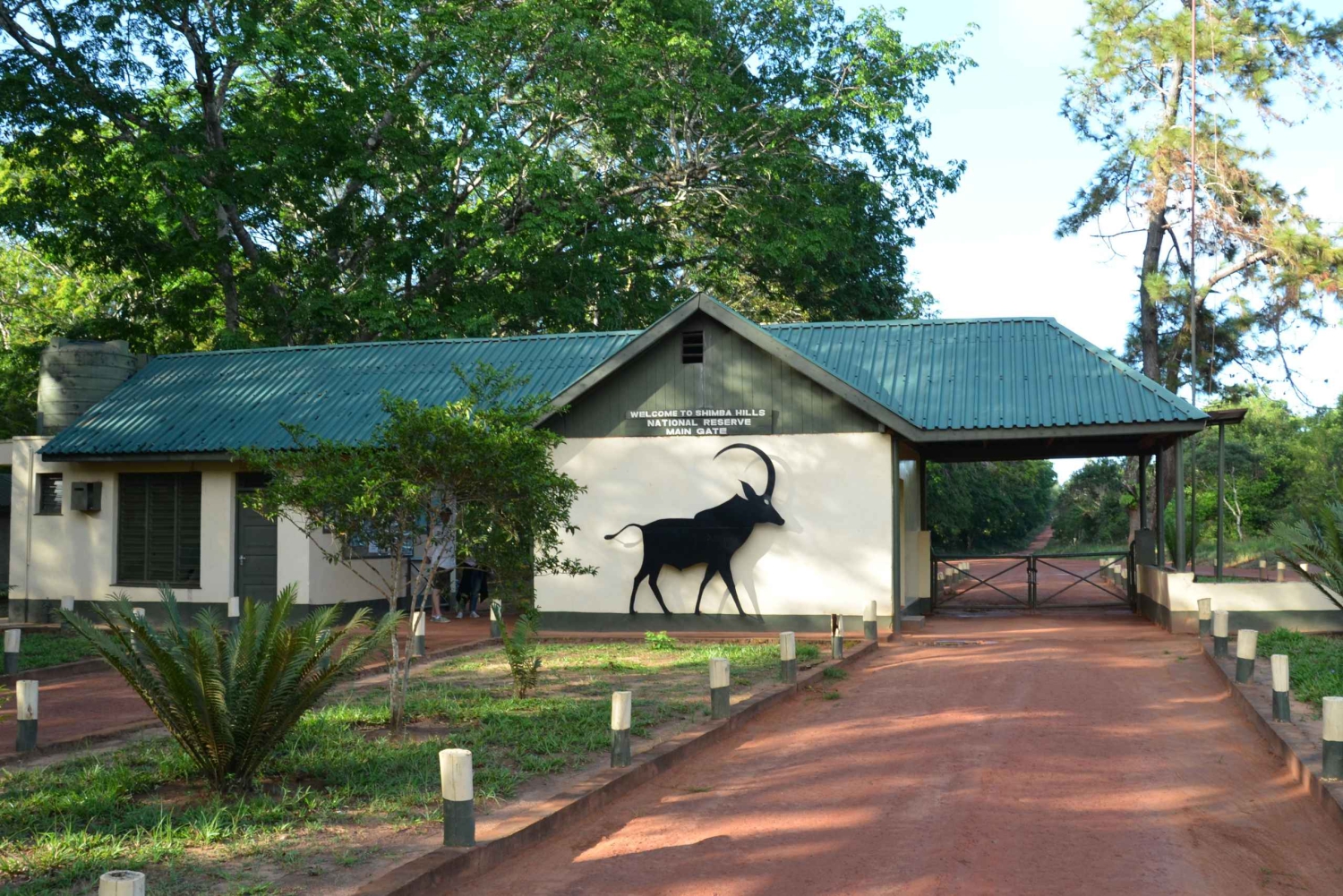 Övernattningssafari till Shimba Hills från Mombasa