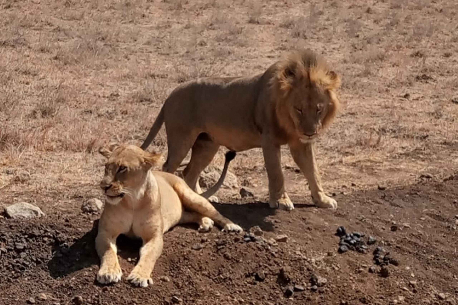 Safari de nuit à Tsavo East depuis Mombasa / Diani Beach
