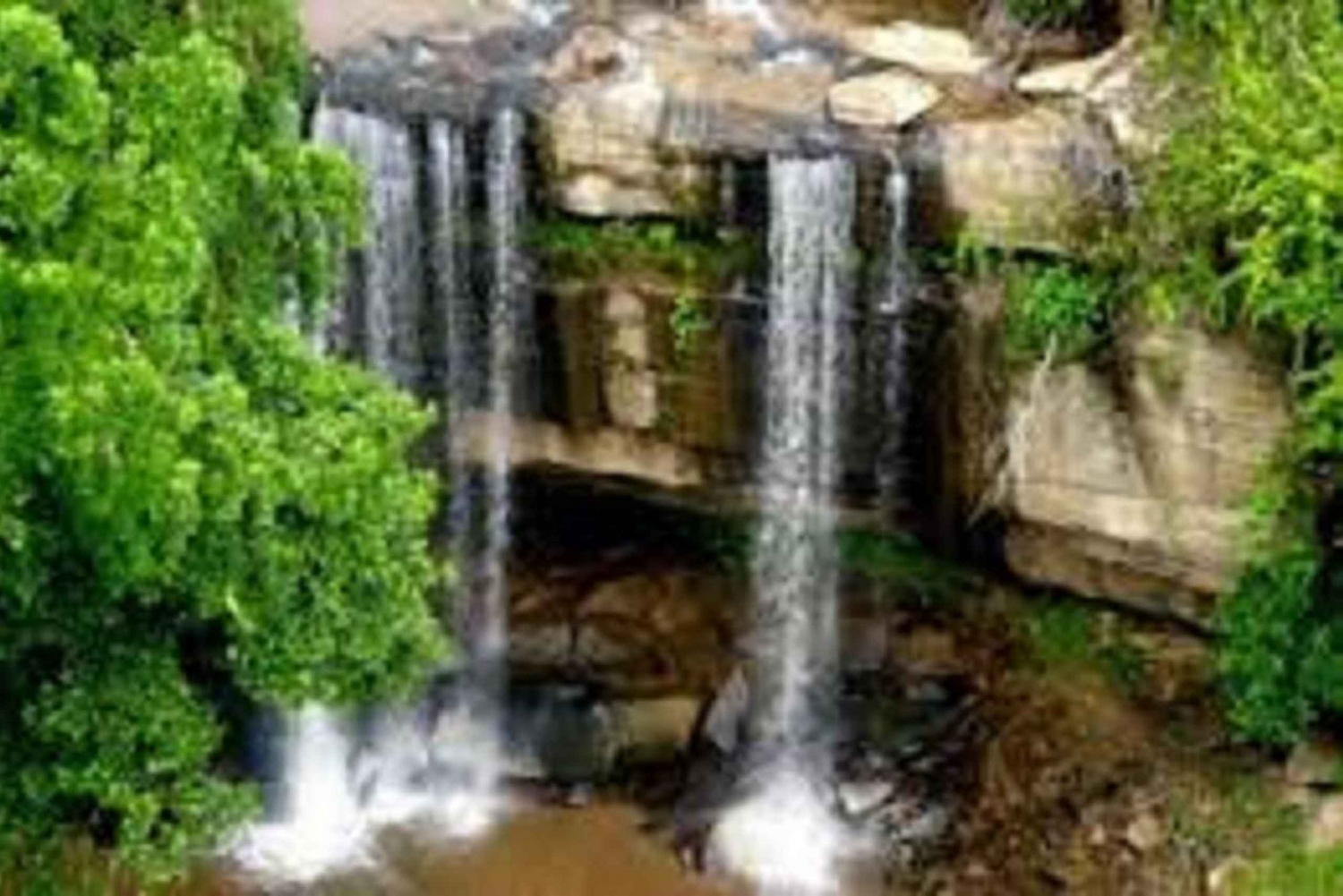 Shimba Hills: Game Drive, vandring till vattenfall och lunch