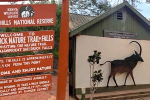 Excursion à la réserve de Shimba Hills : au départ de Mombasa et Diani