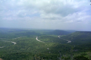 Excursion à la réserve de Shimba Hills : au départ de Mombasa et Diani