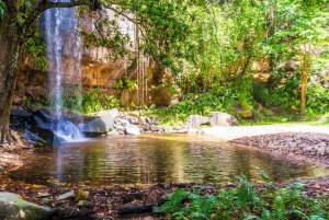 Excursion à la réserve de Shimba Hills : au départ de Mombasa et Diani