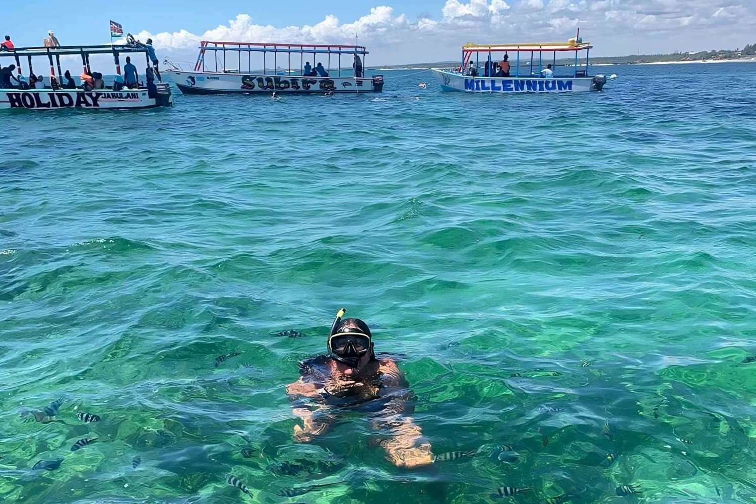 Watamu: Safari azul con snorkel, Mida Creek y langostas en la isla de Sudi